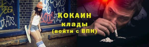 прущие грибы Богородицк