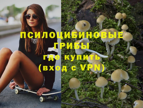 экстази Богданович