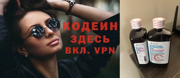 прущие грибы Богородицк