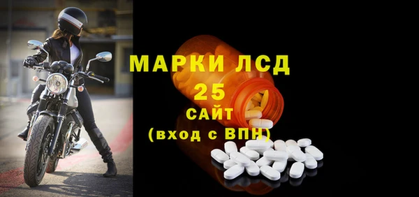 прущие грибы Богородицк