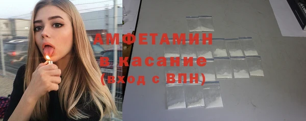 прущие грибы Богородицк