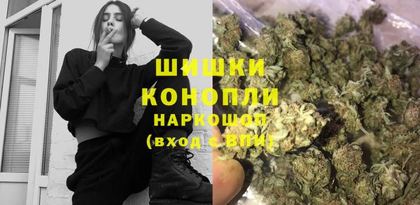 прущие грибы Богородицк