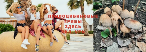 экстази Богданович