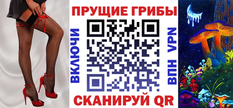 Псилоцибиновые грибы Psilocybe  Купить где  Сясьстрой 